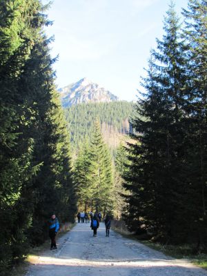 Wycieczka 3e 16